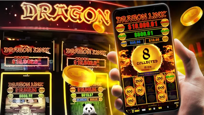 Live Dealer Experience